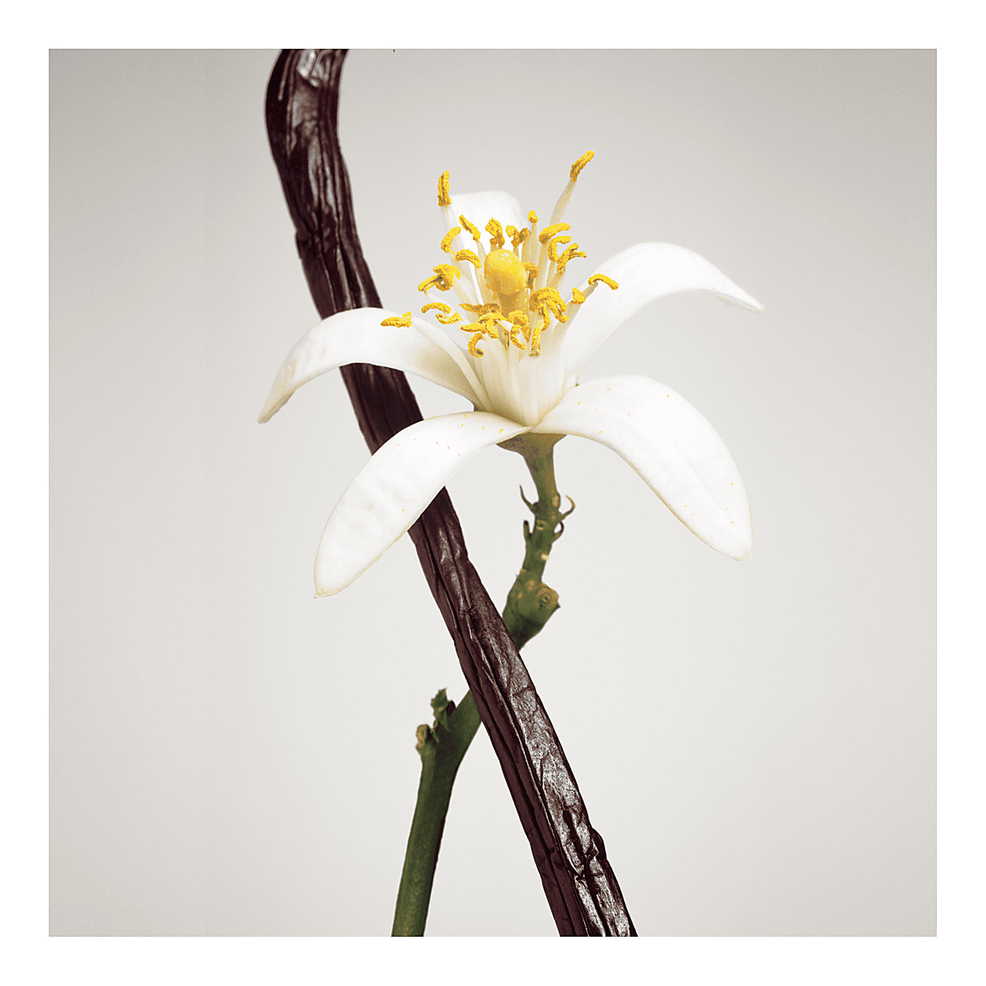 Contre Moi - Image 3