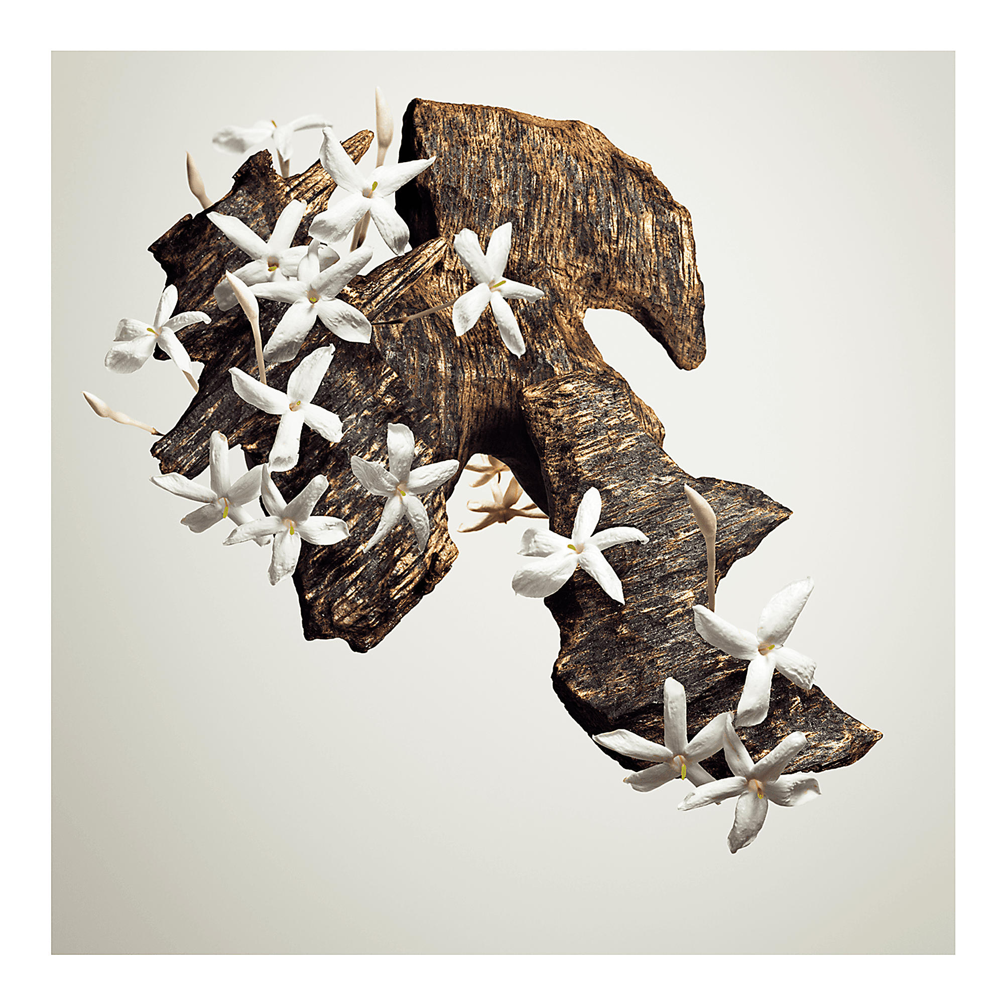 Matière Noire - Image 3