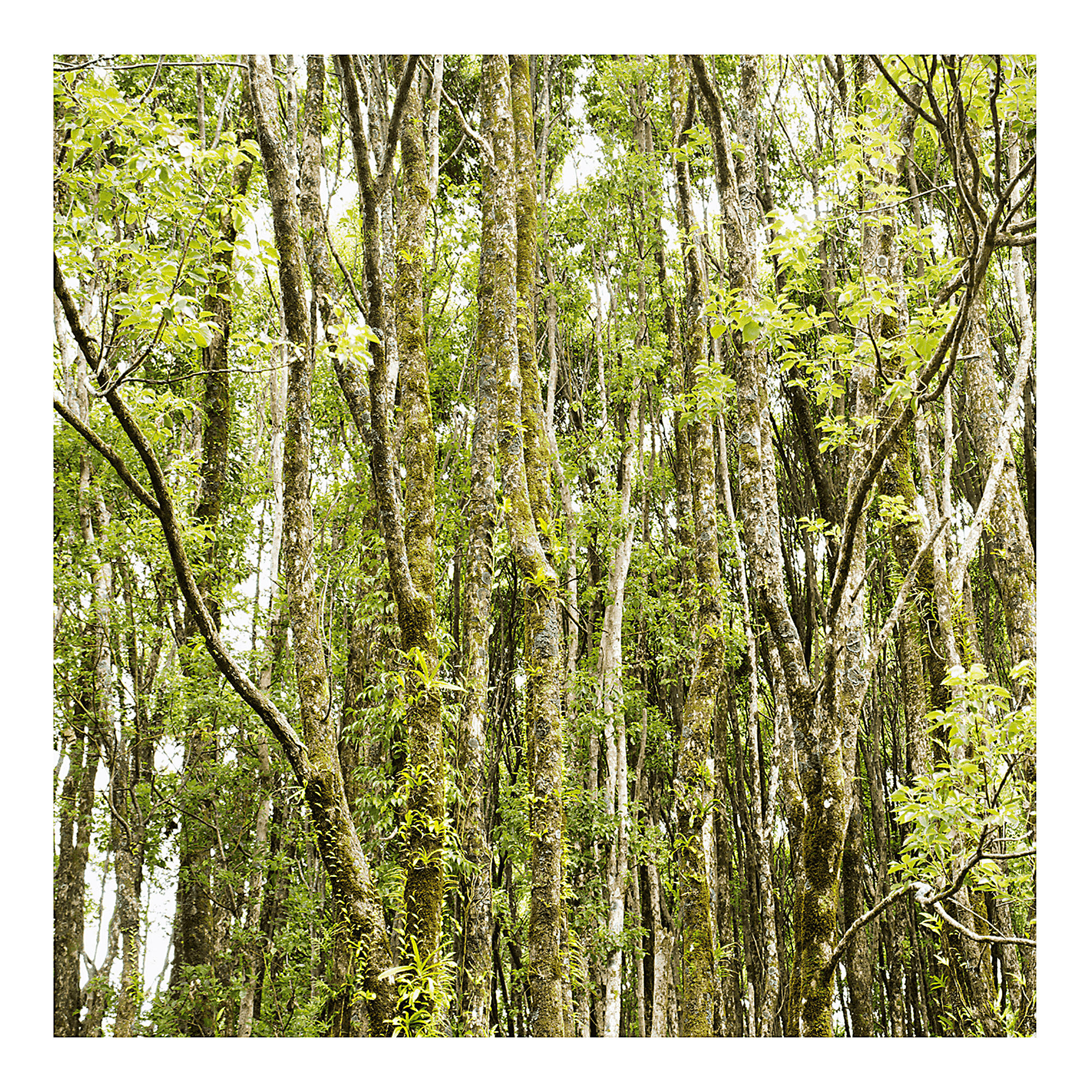 Travel Spray Apogée - Image 2