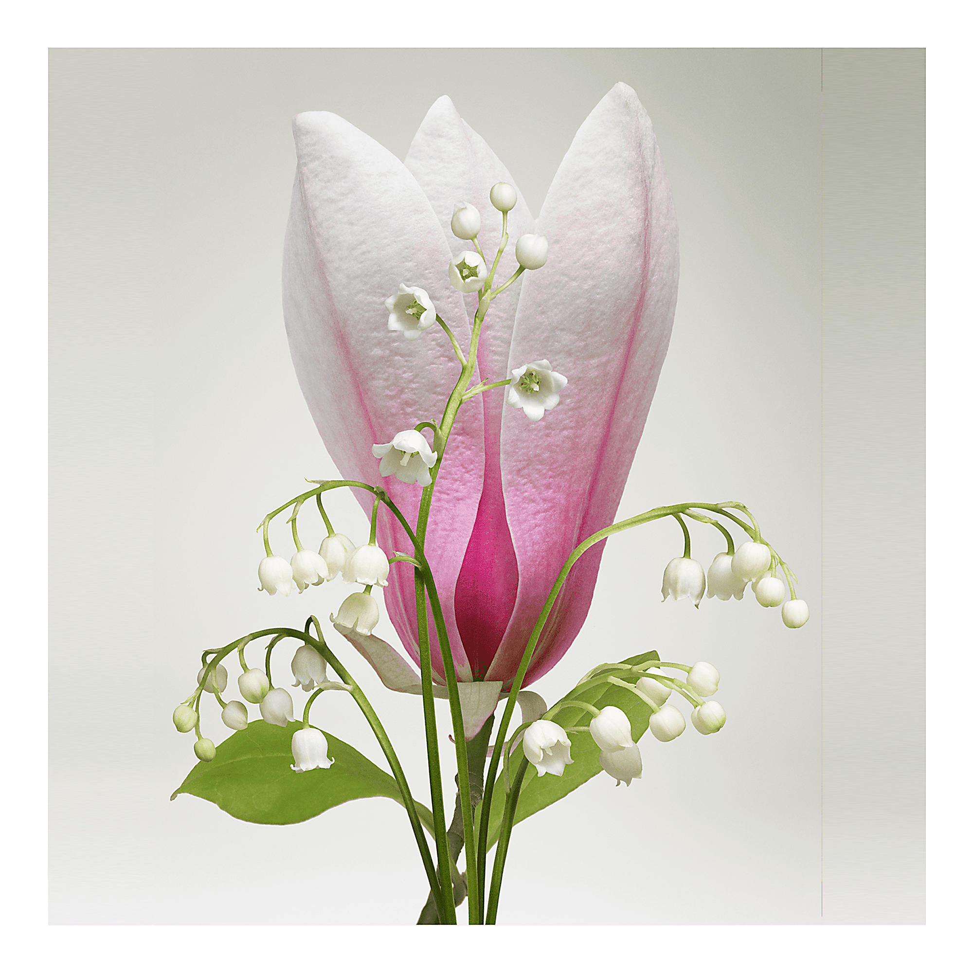 Travel Spray Apogée - Image 3