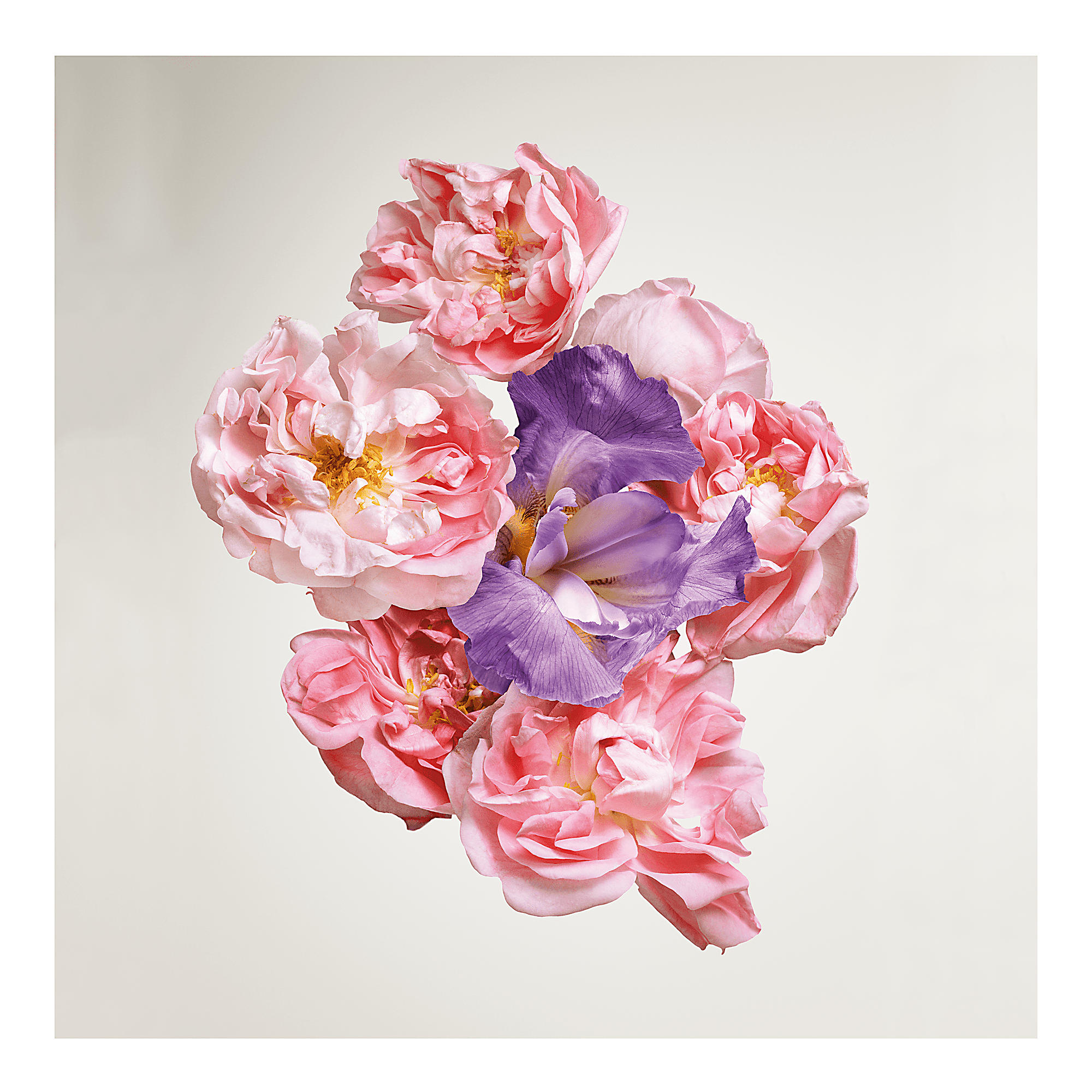 Travel Spray Rose des Vents - Image 3