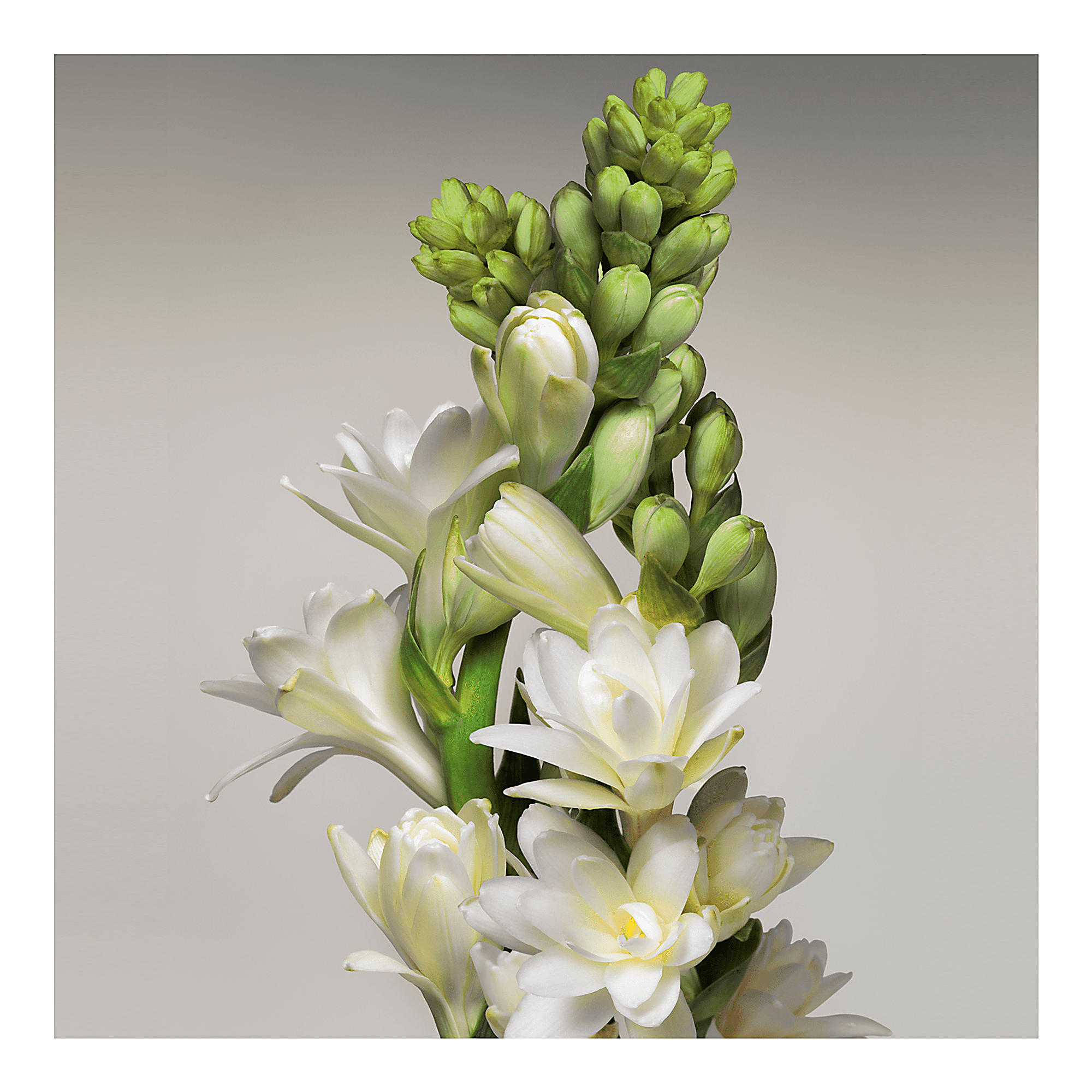 Turbulences - Image 3